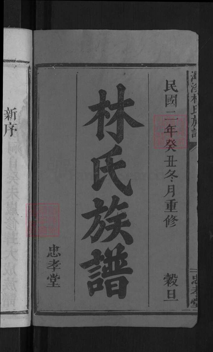 江西省抚州市黎川县潭溪乡林氏忠孝堂族谱-潭溪林氏族谱.pdf电子版预览图2