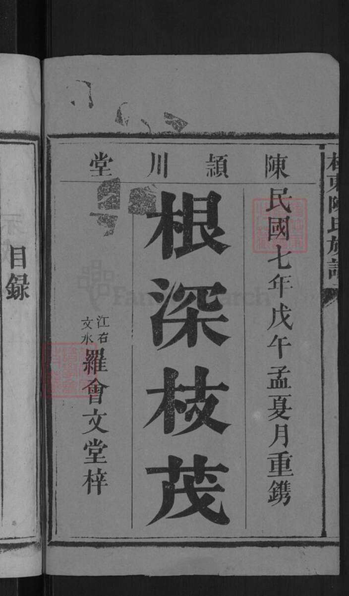 湖南省郴州市桂东县大塘镇陈氏颕川堂族谱-陈氏族谱.pdf电子版预览图2