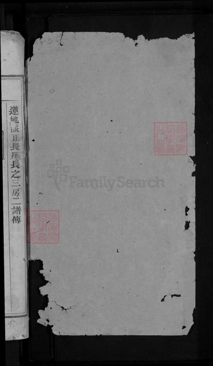 福建省泉州市晋江市新塘街道柯氏瑞鹊堂族谱-南塘柯氏族谱.pdf电子版预览图2