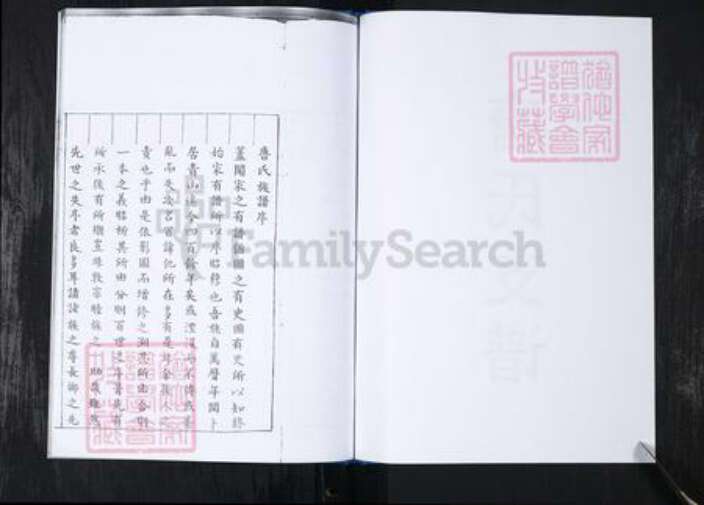 山东省青岛市崂山区唐氏族谱-西麦窑社区唐氏支谱.pdf电子版预览图2