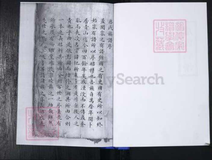 山东省青岛市崂山区唐氏族谱-青山社区唐氏族谱.pdf电子版预览图2