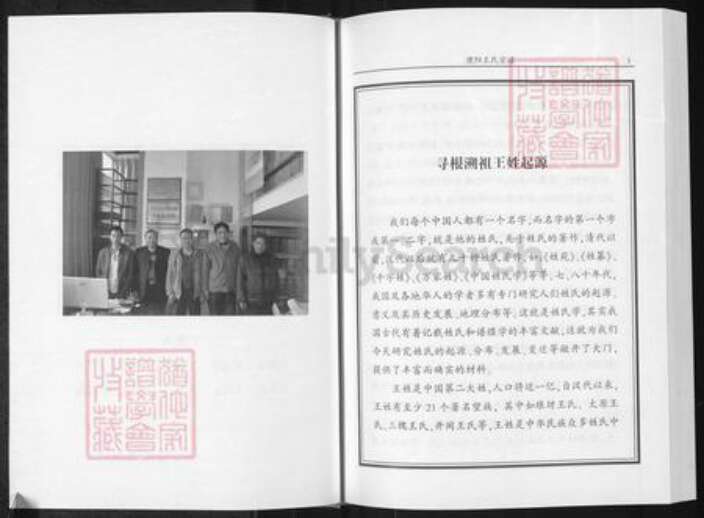 河南省濮阳市华龙区王氏族谱-濮阳王氏宗谱.pdf电子版预览图2