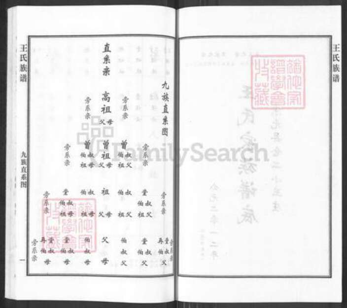 河北省沧州沧州地区南皮王氏族谱-王氏族谱.pdf电子版预览图2