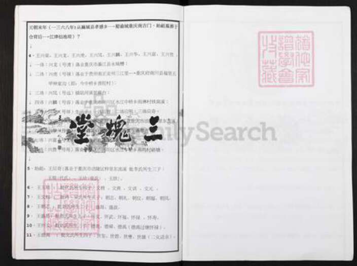 重庆市涪陵区王氏三槐堂族谱-王氏族谱.西蜀涪州榟里东流溪(应奇公)王氏宗支世系.pdf电子版预览图2