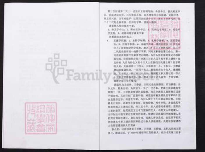 重庆市綦江区王氏族谱-滥田嘴王氏族谱副刊本.pdf电子版预览图2