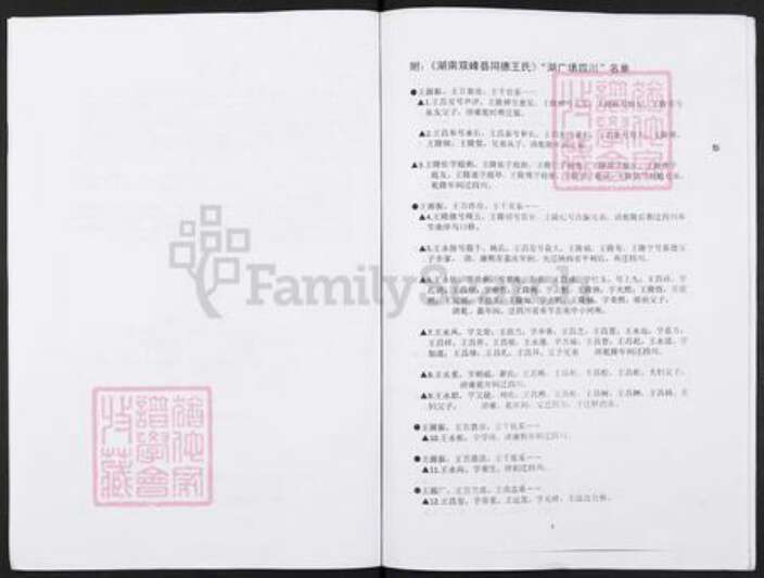 湖南省娄底市双峰县王氏族谱-湖南省双峰县同德王氏湖广填四川名单.pdf电子版预览图2