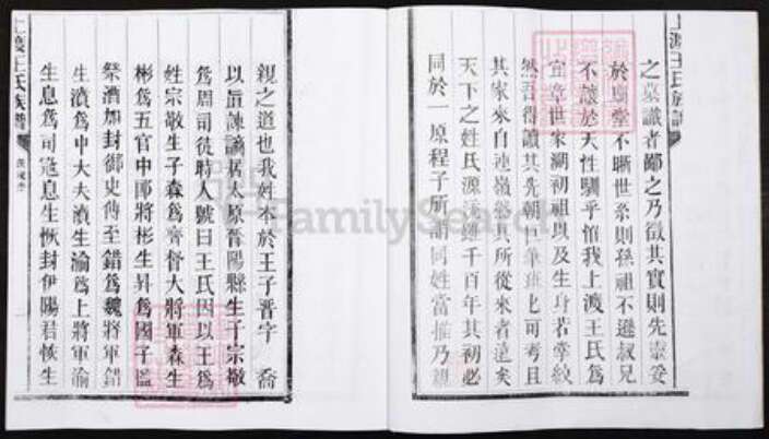 湖南省郴州市宜章县里田镇王氏族谱-湖南宜章县上渡王氏族谱.pdf电子版预览图2