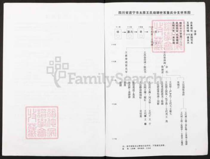 重庆市潼南区柏梓镇王氏族谱-王氏族谱.四川省遂宁市太原王氏琅琊世系重庆分支.pdf电子版预览图2