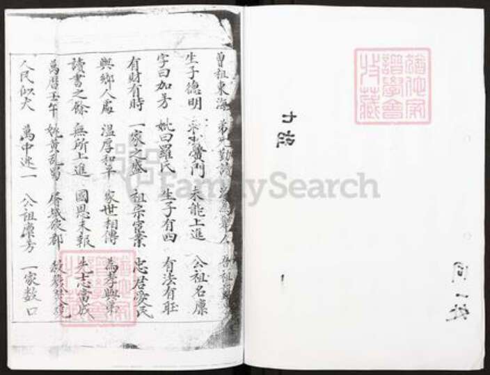 四川省广安市广安区王氏族谱-王氏族谱.pdf电子版预览图2