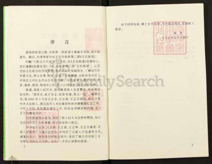 重庆市南川区南平镇王氏族谱-王家入川胡家(土党)支系祖德流芳.pdf电子版预览图2