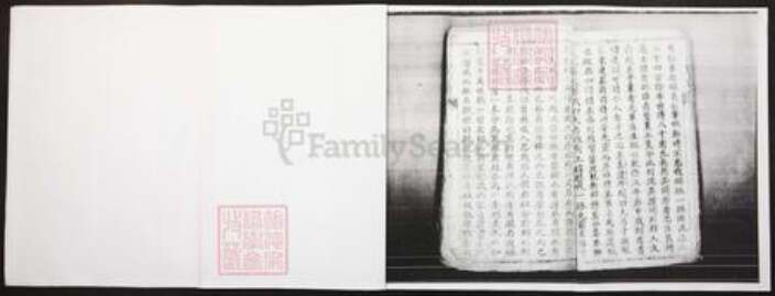 四川省泸州市江阳区王氏族谱-王氏家谱.pdf电子版预览图2