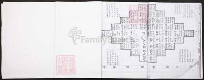 湖南省邵阳市武冈市王氏族谱-王氏重修族谱.pdf电子版预览图2
