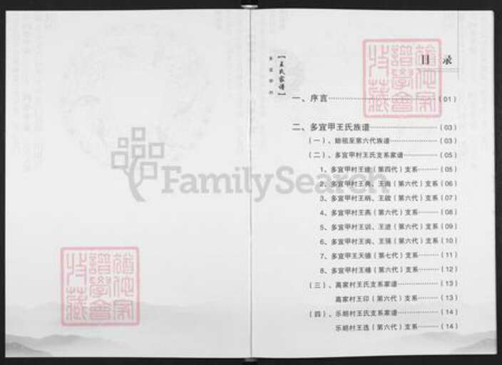 云南省昆明市富民县王氏族谱-王氏族谱.pdf电子版预览图2