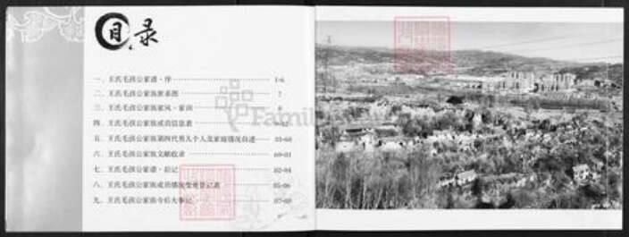 山西省晋中市左权县辽阳镇王氏族谱-王氏家谱.pdf电子版预览图2