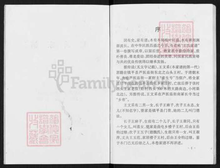 河南省南阳市镇平县曲屯镇王氏族谱-王氏家谱.pdf电子版预览图2