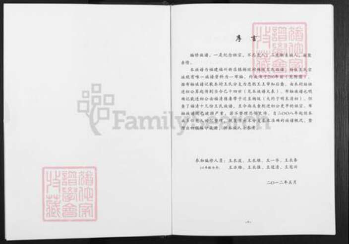 福建省福州市闽清县坂东镇王氏族谱-杨坂王氏族谱.pdf电子版预览图2