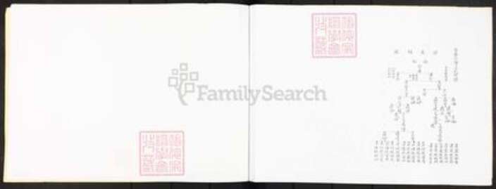 广东省广州市番禺区沙湾镇王氏族谱-番禺县沙湾乡王姓支派图.pdf电子版预览图2