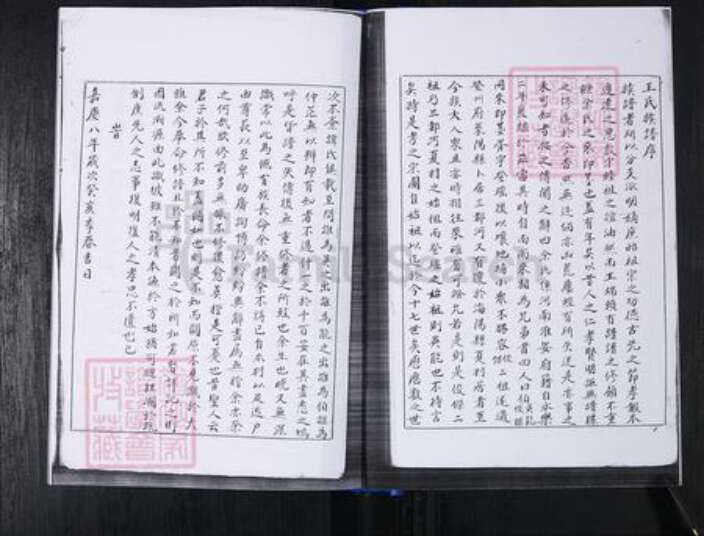 山东省青岛市崂山区王氏族谱-山东头社区王氏支谱.pdf电子版预览图2