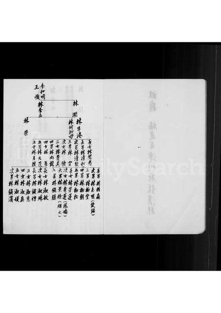 福建林氏族谱-[林氏家谱].pdf电子版预览图2