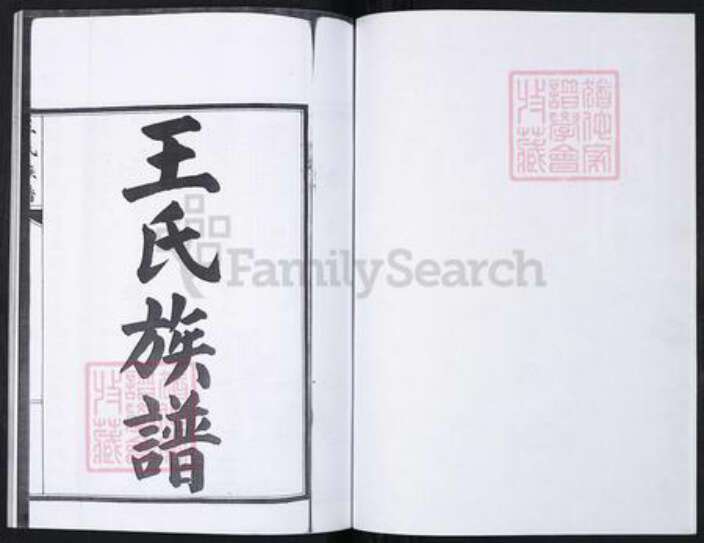 山东省青岛市崂山区王氏族谱-南北岭社区王氏族谱.pdf电子版预览图2