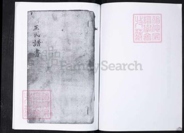 山东省青岛市崂山区王氏族谱-港东社区王氏谱书.pdf电子版预览图2