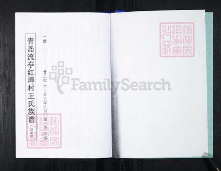 山东省青岛市王氏族谱-流亭红端口村王氏族谱.pdf电子版预览图2