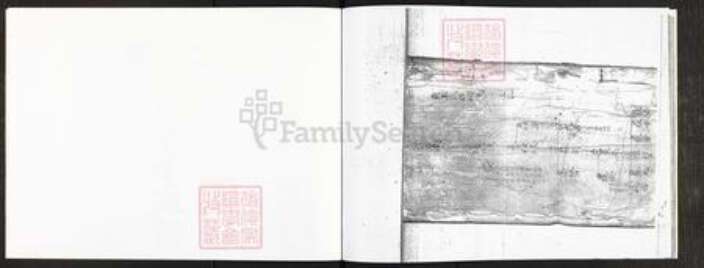 广东省广州市番禺区王氏流光堂族谱-二宅流光堂族谱.pdf电子版预览图2