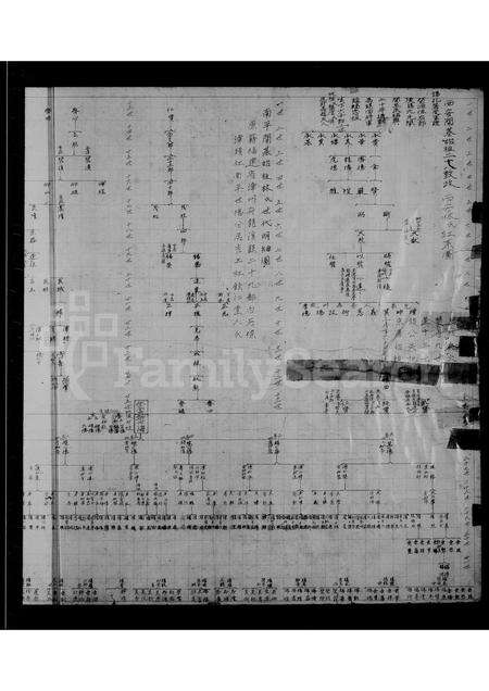 福建林氏族谱-西安林氏红系图.pdf电子版预览图2