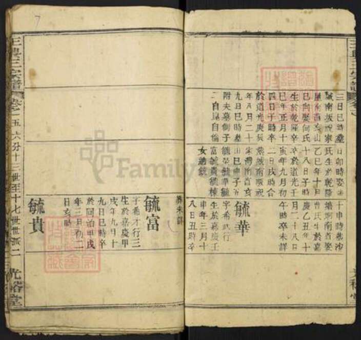 湖北省黄冈市团风县但店镇王氏光裕堂族谱-王兴三宗谱.pdf电子版预览图2