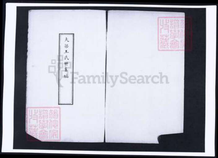 河南省开封市开封王氏族谱-大梁王氏宗谱.pdf电子版预览图2