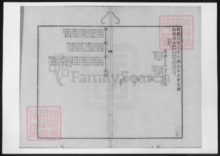 江苏省扬州市王氏族谱-宝应白田王氏小湖公本支世系图.pdf电子版预览图2