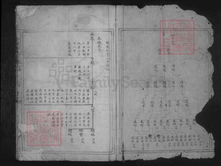 浙江省宁波市奉化区印氏族谱-甘里印氏宗谱.pdf电子版预览图2