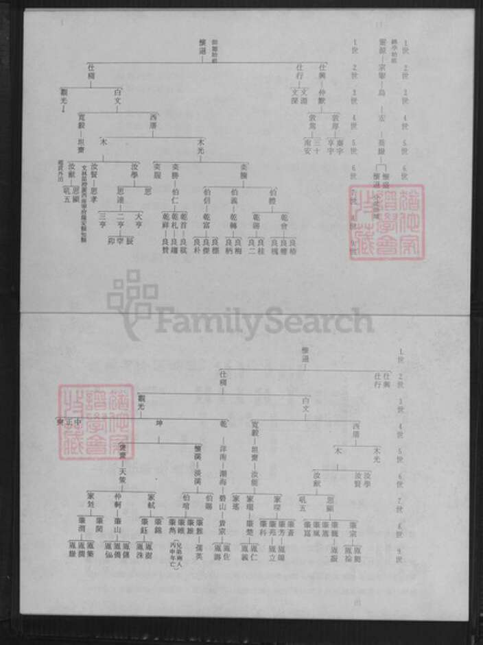 福建省泉州市晋江市晋江陈氏族谱-从九都西番乡陈氏族谱.pdf电子版预览图2
