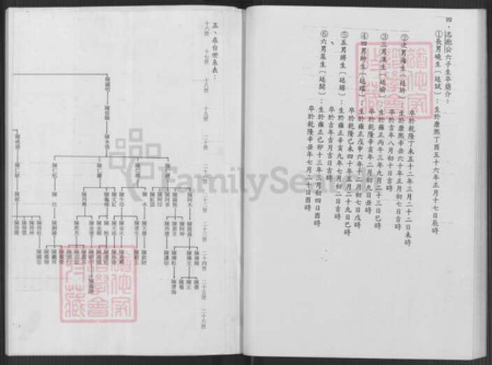 台湾台北市文山区陈氏族谱-陈志抱派下谱系世系表.pdf电子版预览图2