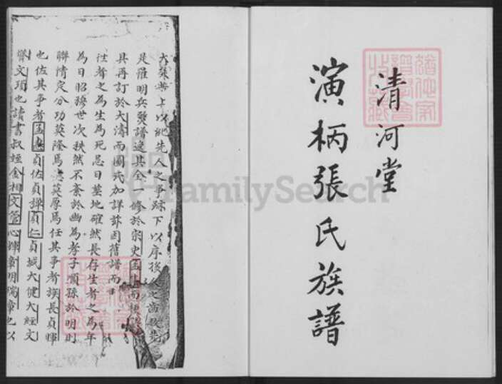 福建省漳州市长泰县枋洋镇张氏清河堂族谱-演柄张氏族谱.pdf电子版预览图2