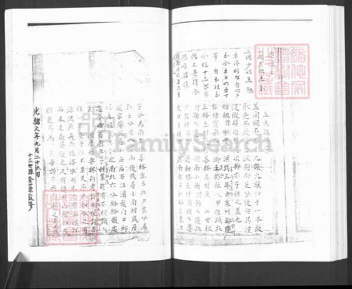 山东省烟台市栖霞市王氏族谱-栖霞王氏族谱.pdf电子版预览图2