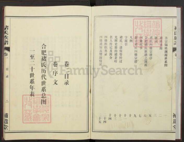 安徽省合肥市褚氏族谱-褚氏族谱.pdf电子版预览图2