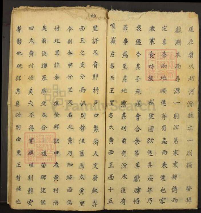 山西省王氏族谱-王氏宗谱.pdf电子版预览图2