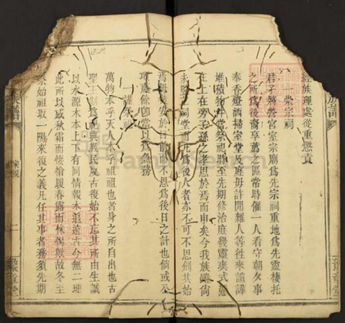 江西省罗氏族谱-罗氏族谱.pdf电子版预览图2