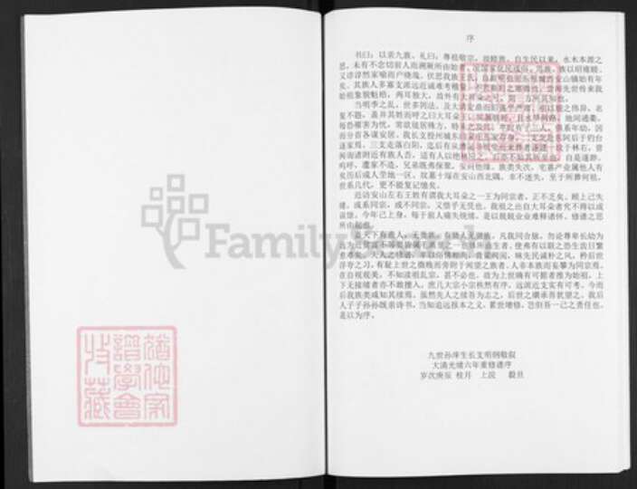 山东省泰安市东平县州城街道王氏族谱-王氏族谱.pdf电子版预览图2