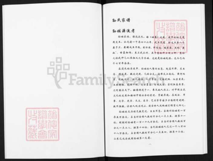 河南省濮阳市华龙区河南省濮阳市濮阳县文留镇孙；孙氏族谱-孙氏家谱.pdf电子版预览图2