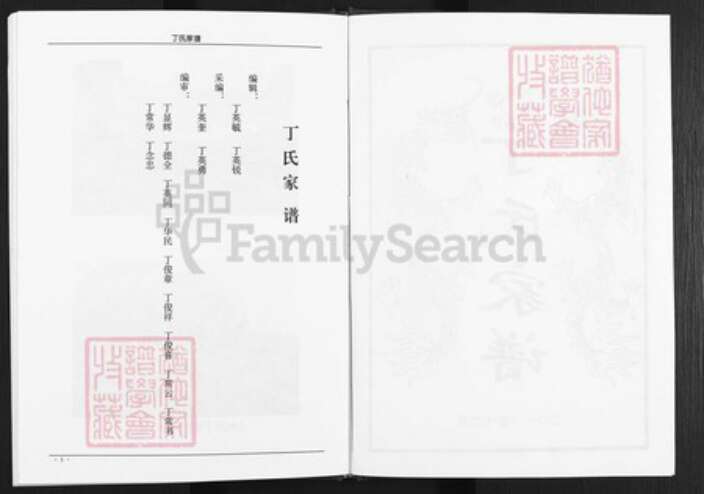 四川省遂宁市蓬溪县湖南省丁氏族谱-丁氏家谱.pdf电子版预览图2