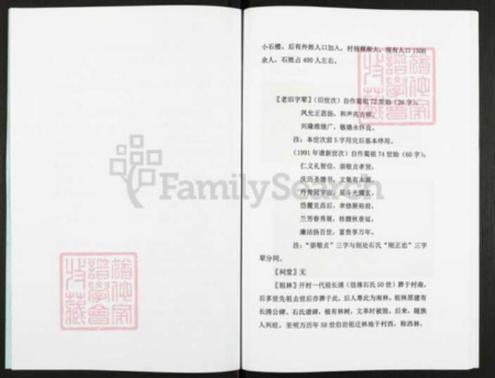 山东省枣庄市滕州市石氏族谱-鲁南滕州市大石楼村石氏.pdf电子版预览图2