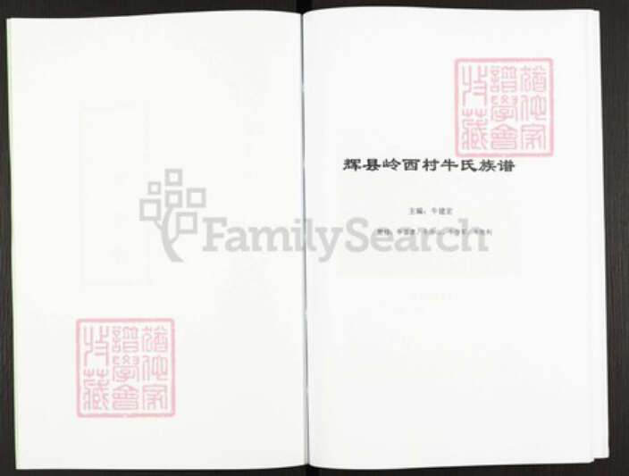 河南省新乡市辉县市沙窑乡牛氏族谱-牛氏族谱.pdf电子版预览图2