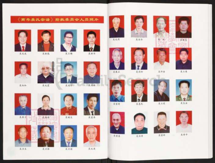 浙江省台州市仙居县田市镇吴氏族谱-东阳谱碟文化.南岑吴氏专辑. 总第2期.pdf电子版预览图2