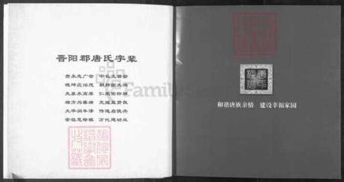 四川省遂宁市大英县唐氏族谱-唐氏族谱.pdf电子版预览图2
