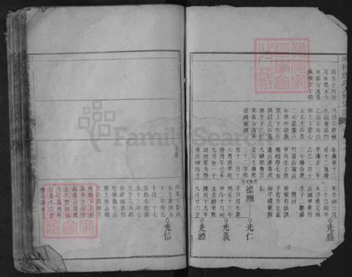 安徽省安庆市桐城市唐氏族谱-皖桐唐氏六修宗谱.pdf电子版预览图2