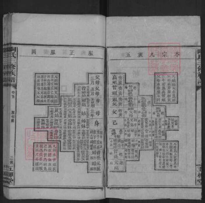 湖南省邵阳市陶氏族谱-陶氏三修族谱 [存卷首].pdf电子版预览图2