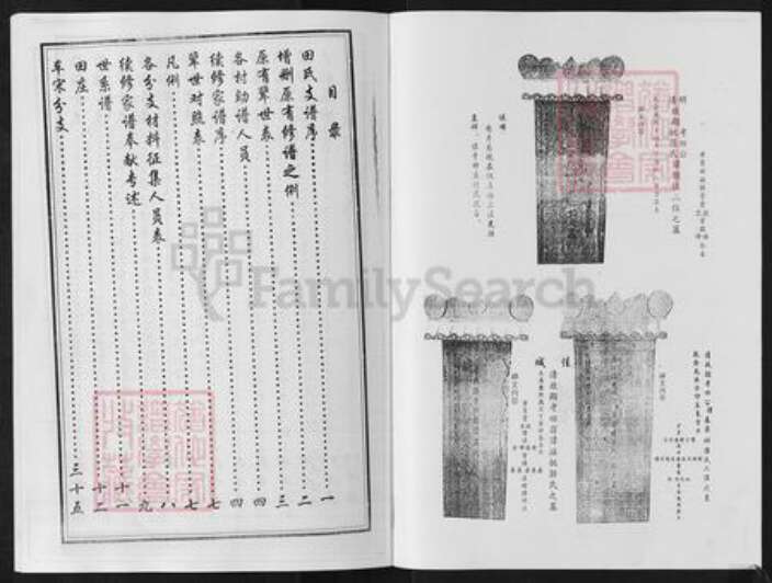 山东省淄博市淄川区田氏族谱-田氏田庄家谱.pdf电子版预览图2