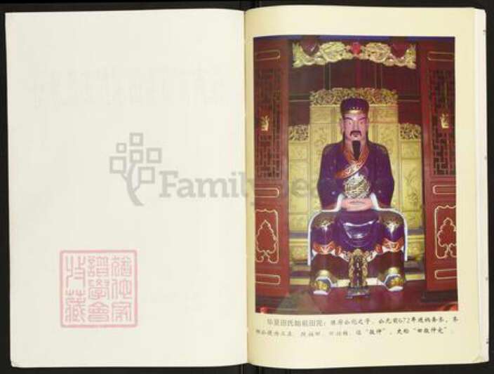 安徽省淮南市潘集区田氏怀忍堂族谱-淮南市田集田家拐田氏族谱.pdf电子版预览图2